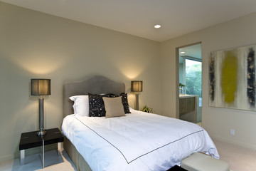 View of a modern bedroom interior