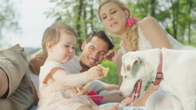 CLOSE UP: Cheerful baby daughter and cute Jack Russell pet dog eating cookies