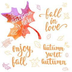 Fall handwritten brush calligraphy quote and autumn motives. Lettering and decorative leaves.