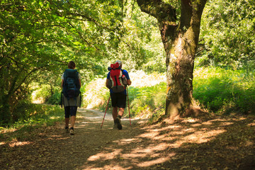 Pilgrimns along the way of St. James