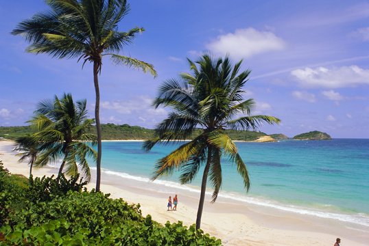 Half Moon Bay, Antigua