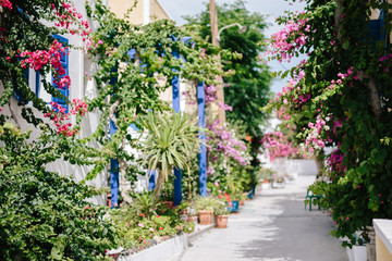 Fototapeta na wymiar the streets in the towns of Santorini