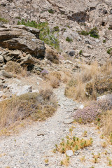 Fototapeta na wymiar mountain trail on the island of Santorini