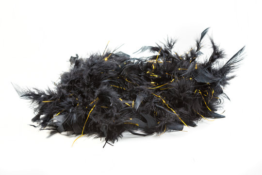 Black Feather Boa With Gold Tinsel Isolated On White Background