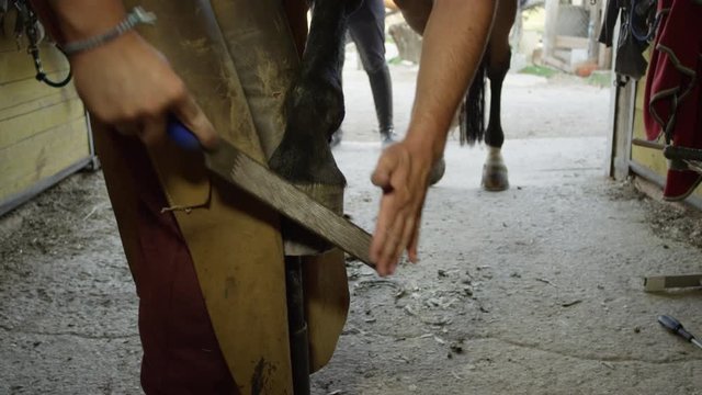 Close up farrier gently filling off sharp edges, blending nails on horse shoe
