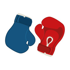 boxing gloves sport equipment icon over white background. colorful design. vector illustration