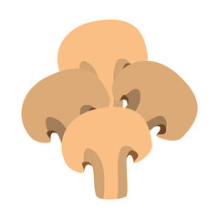 mushroom ingredient isolated icon vector illustration design