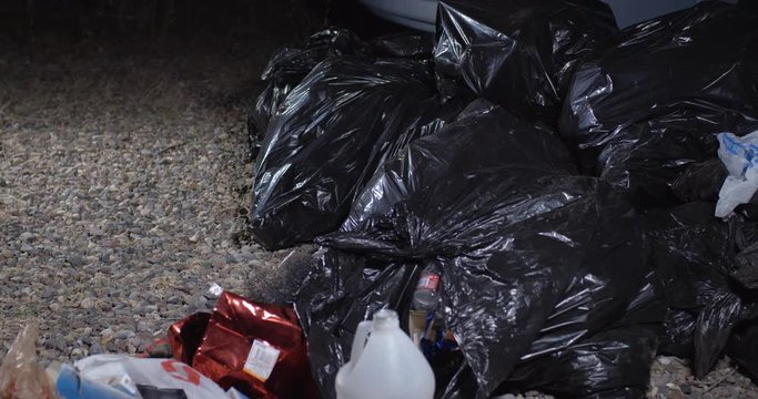 Picking Up Trash