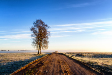 Podlaska droga o poranku © podlaski49