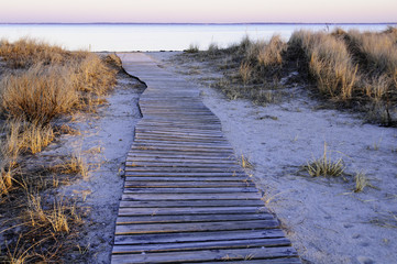 Wavy boardwalk across small dune