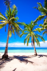 Fototapeta na wymiar Beautiful tropical beach with palm trees, white sand, turquoise ocean water and blue sky