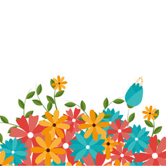 cute floral decoration card vector illustration design