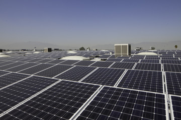 Solar panels at a solar power plant