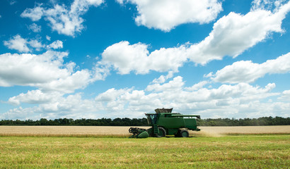 modern combine harvester working on a wheat crop
