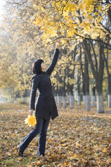 Obraz premium Full length side view of a woman collecting leaves from maple tree in park