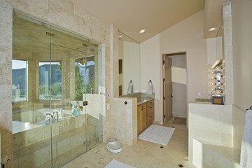 View of a luxury bathroom in a house