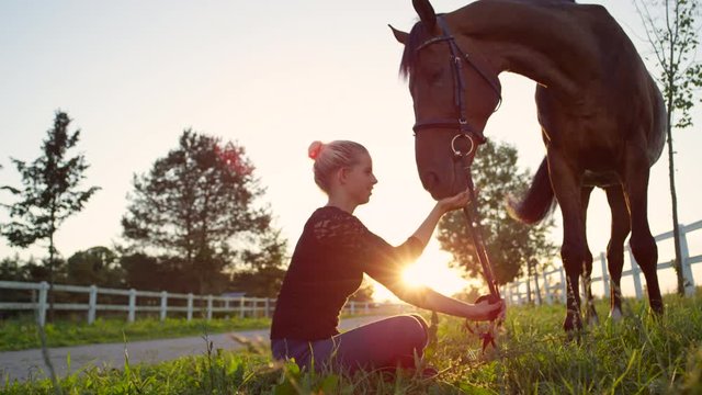 SLOW MOTION: Beautiful smiling girl sitting on meadow and feeding her horse