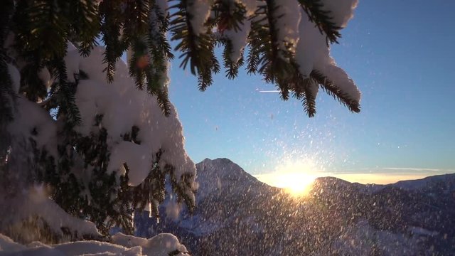 SLOW MOTION: Snowflakes falling on fresh white snow blanket at magical sunrise