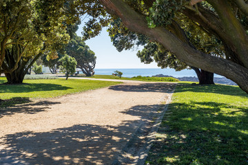 Ivy league park road near seafront panorama with old trees