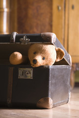 Closeup of a teddy bear in suitcase on floor at home
