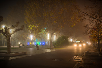Jardín del Campo Grande Valladolid con niebla por la noche