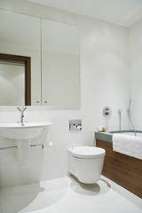 Fototapeta na wymiar View of an elegant bathroom