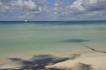 Idyllic Beach with White Sands (Horizontal)