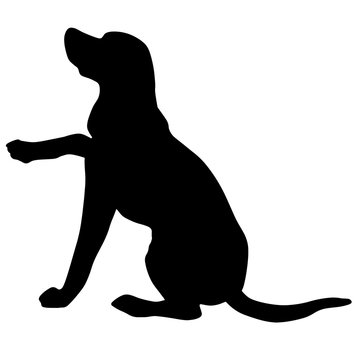 Labrador retriever. Vector black silhouette on a white background. Illustration of dog breeds 