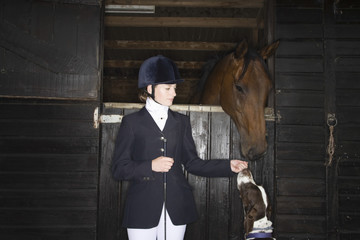 Young female horseback rider with horse and dog in the stable
