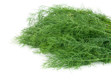 bunch of dill isolated on a white background closeup