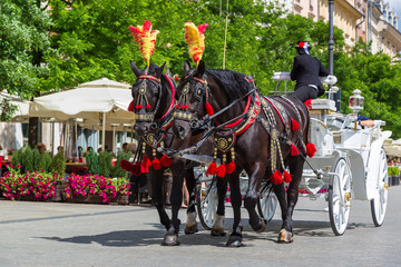 Horse carriages in Krakow