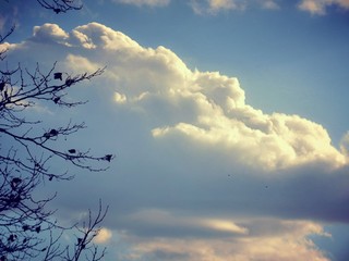 Sun Hitting The Big Heavenly Cloud In The Sky 