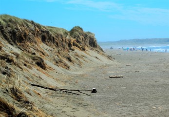 Bodega bay, beach