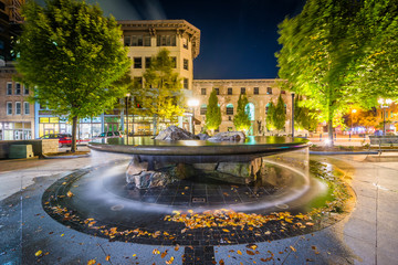 Fountain and buildings at Pack Square at night, in downtown Ashe