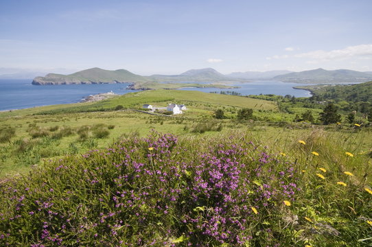 Valentia Island, Ring of Kerry, County Kerry, Munster, Republic of Ireland