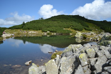 Lake in Slovakia. Summer 2015