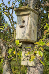 Vogel Nistkasten am Baum 