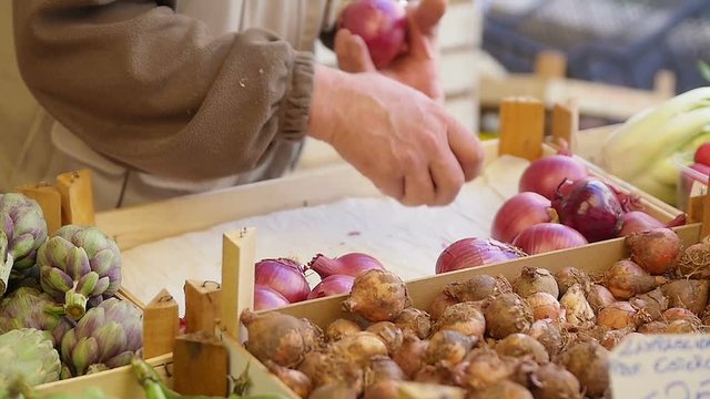 onions, garlic, artichokes and other vegetables on market stall