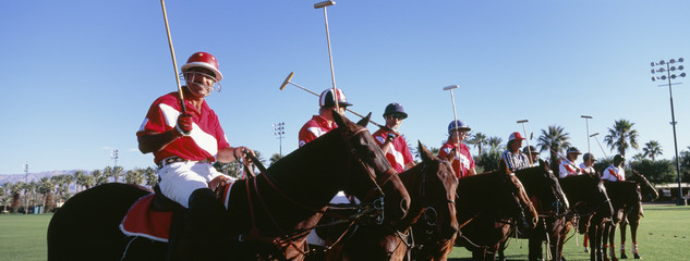 Panoramic shot of polo players and umpire on horses at field