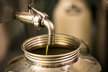 Processing of olive oil in a modern farm.