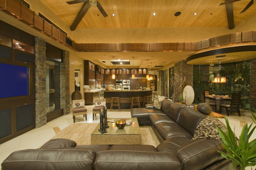 Interior of contemporary living room with leather sofa