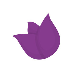 Fototapeta premium Beautiful flower gardening icon vector illustration graphic design