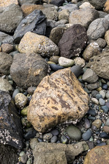 Vertical close up of a rocky beach, multicolored rocks
