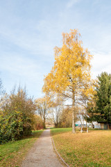 Wanderweg in den Herbst Farben und auf den Boden gefallene Blätter. Sitzbank unter dem Baum rechts neben dem Gehweg.