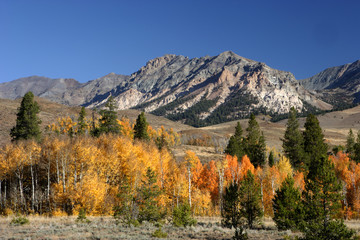 Fall in the Sawtooths