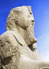 Obraz premium Detail of Alabaster sphinx 19th Dynasty (1341-1200 BC). Ancient Memphis (UNESCO World Heritage List 1979). Cairo Egypt Africa