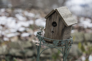 Bird house