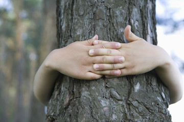 Closeup of hands embracing tree trunk