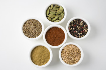 High angle view of different types of spices arranged in a bowls isolated over white background