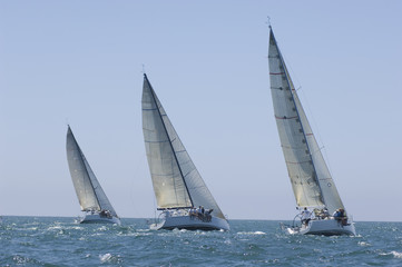 View of three yachts compete in team sailing event